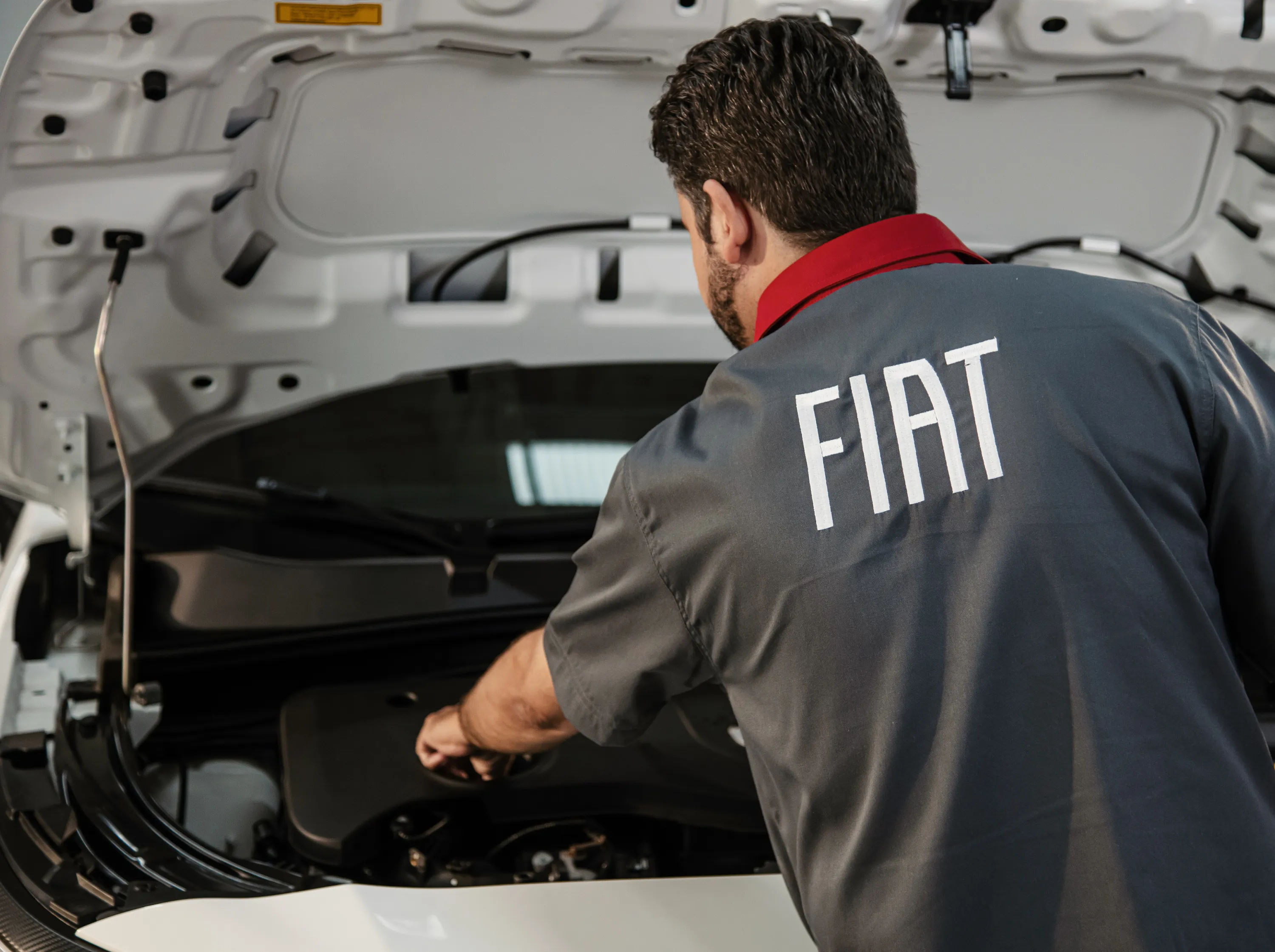 Tudo sobre servicos do Fiat Argo